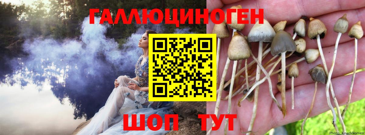 Каспийск  Галлюциногенные грибы GOLDEN TEACHER  Вход с VPN  Галлюциногенные грибы Psilocybe 